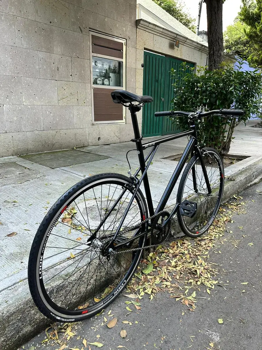 Bicicleta en Negro — foto 4