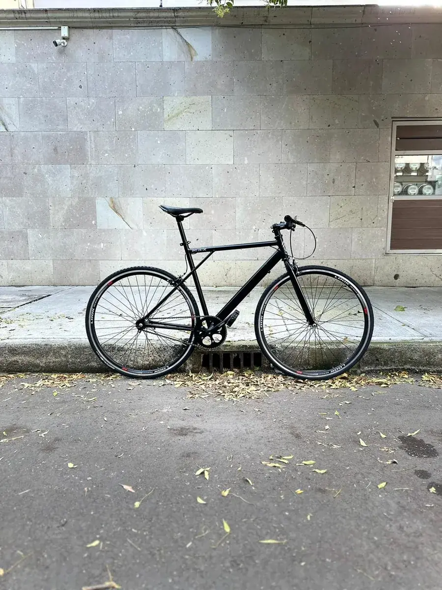 Bicicleta en Negro
